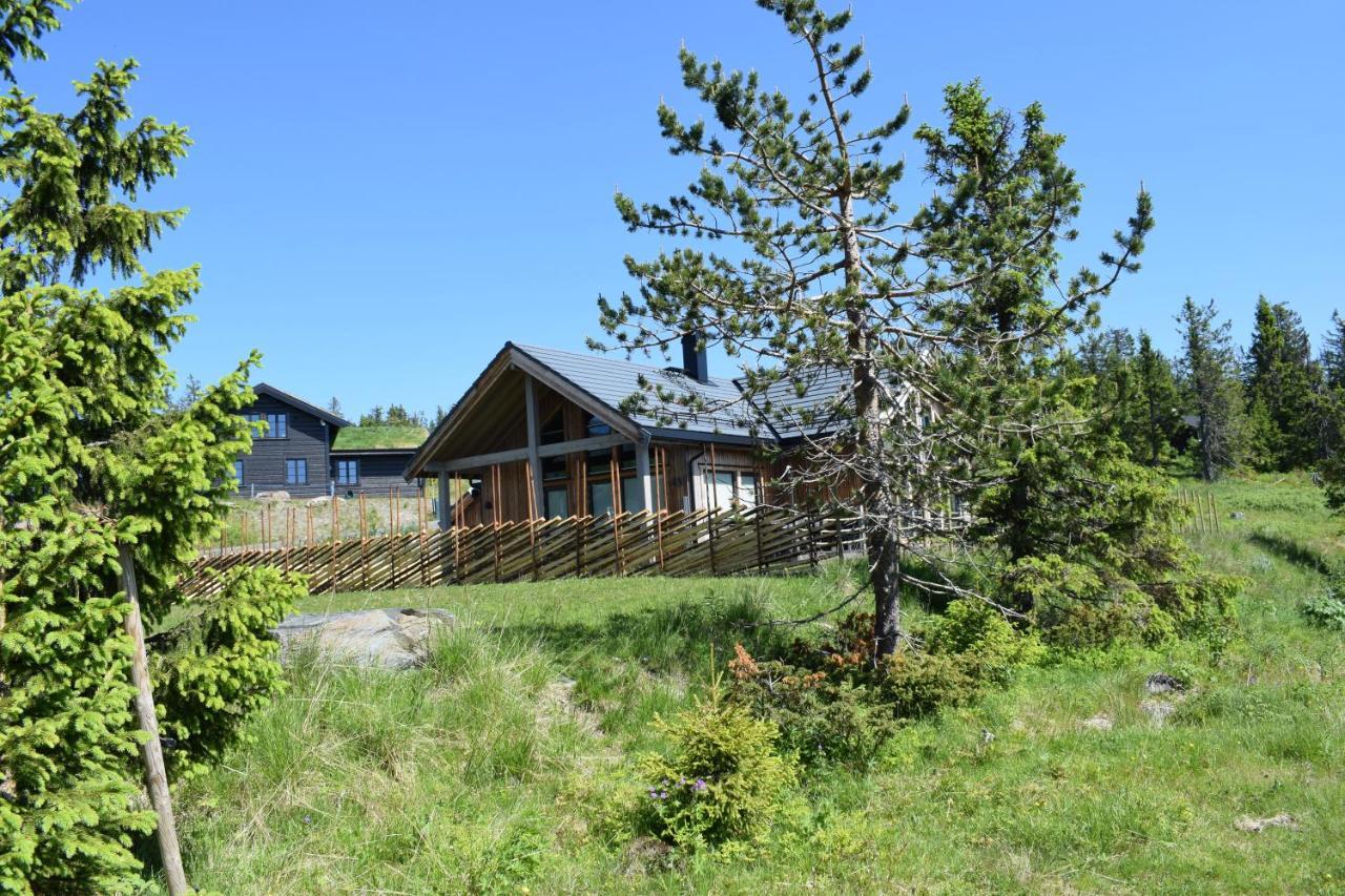 Skeikampen Booking Свингволл Экстерьер фото